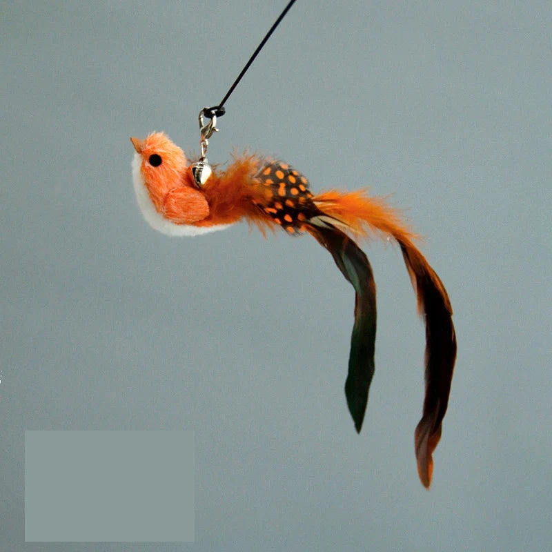 Funny Bird Feather Cat Wand Bell Accessories Interactive Toys Cats Kitten Hunting Teaser Exercise