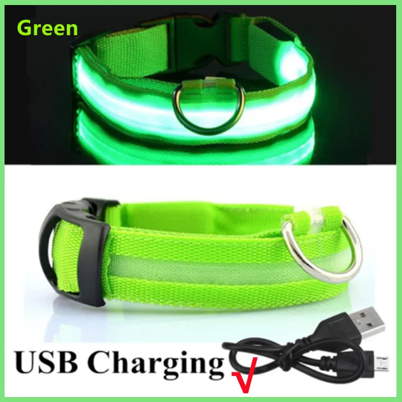 LED Dog Collar USB Rechargeable Glowing Safety Collar