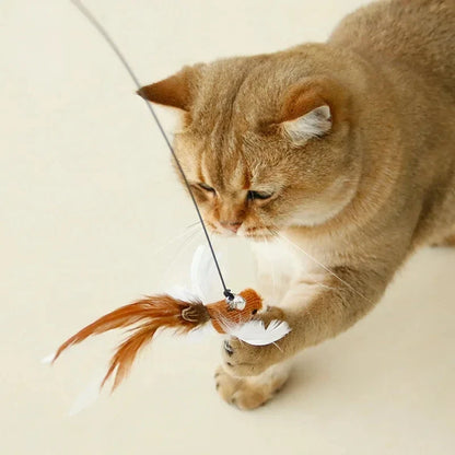 Funny Bird Feather Cat Wand Bell Accessories Interactive Toys Cats Kitten Hunting Teaser Exercise