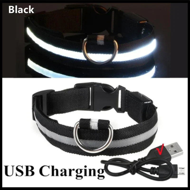LED Dog Collar USB Rechargeable Glowing Safety Collar