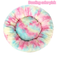 Dazzling Color