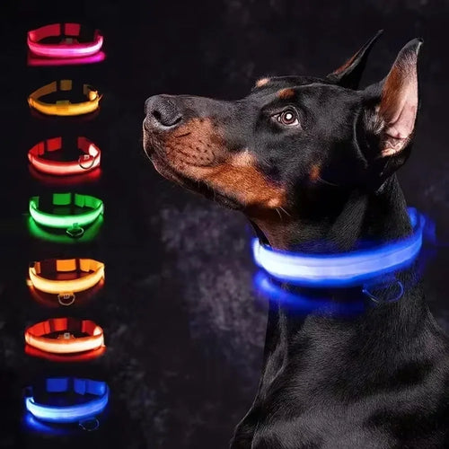 LED Dog Collar – USB Rechargeable Flashing Safety Light