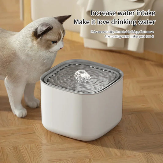 3l Cat Water Fountain Auto Erecirculate Filter Large Capacity Filtring Drinker 1usb Electric Mute