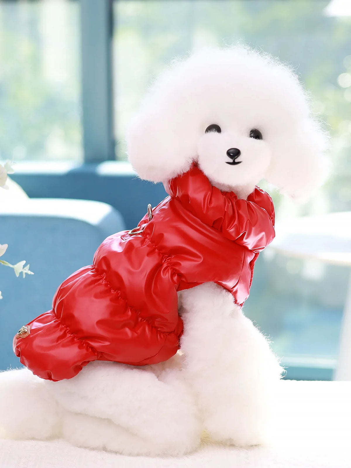 3 Layer Warm Dog Jacket for Small & Medium Dogs Autumn Winter