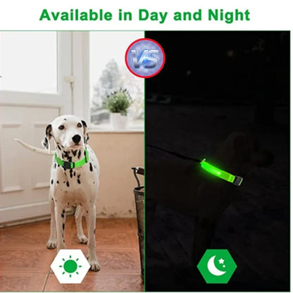 LED Dog Collar USB Rechargeable Glowing Safety Collar