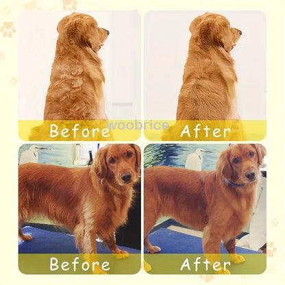Electric Dog Steamer Brush Grooming 3 1 Steam Pet Remove Tangles Loose Hair Massage Steamy Cat