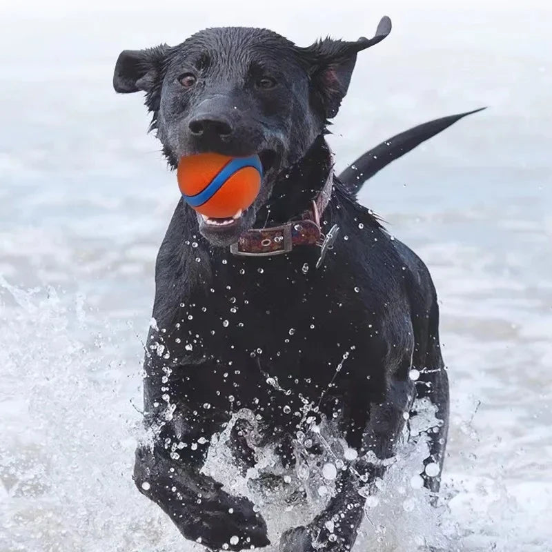 Dog Toy Ball Fetch Tough Pet Puppy Chew Solid Elastic Jumping Accessories Large Medium Small
