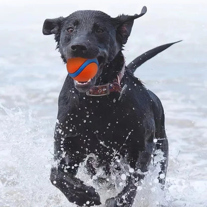 Dog Toy Ball Fetch Tough Pet Puppy Chew Solid Elastic Jumping Accessories Large Medium Small