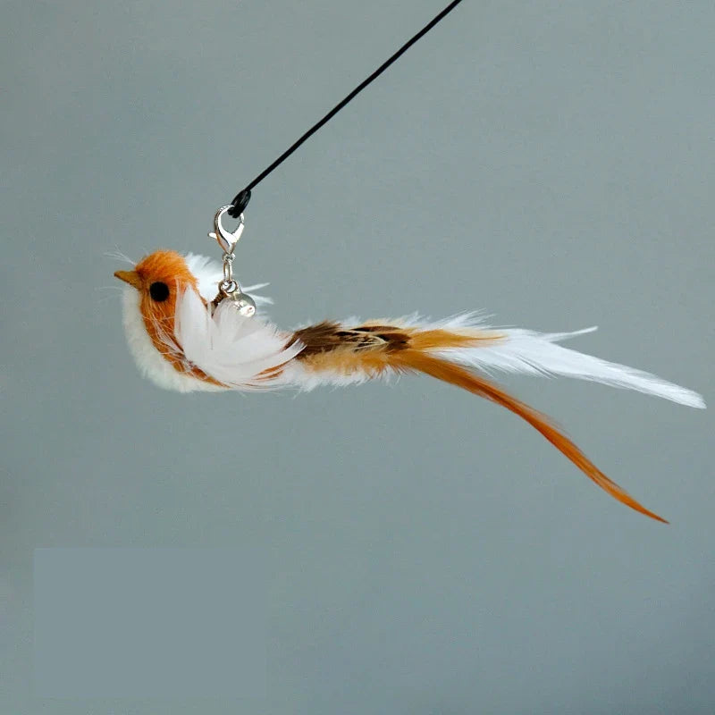 Funny Bird Feather Cat Wand Bell Accessories Interactive Toys Cats Kitten Hunting Teaser Exercise