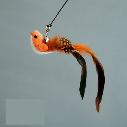 Funny Bird Feather Cat Wand Bell Accessories Interactive Toys Cats Kitten Hunting Teaser Exercise