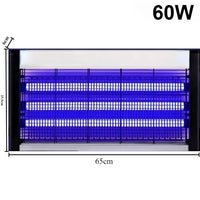 60W