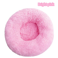 Bright Pink