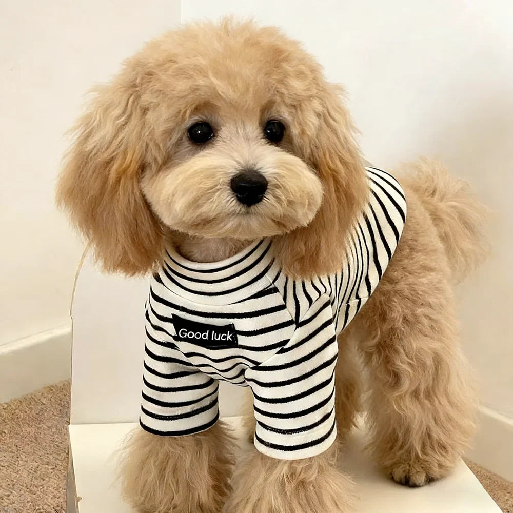 Dog Sweater – Striped Thermal Knit for Small Dogs
