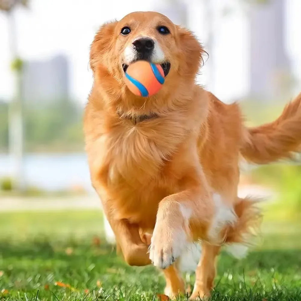 Dog Toy Ball Fetch Tough Pet Puppy Chew Solid Elastic Jumping Accessories Large Medium Small
