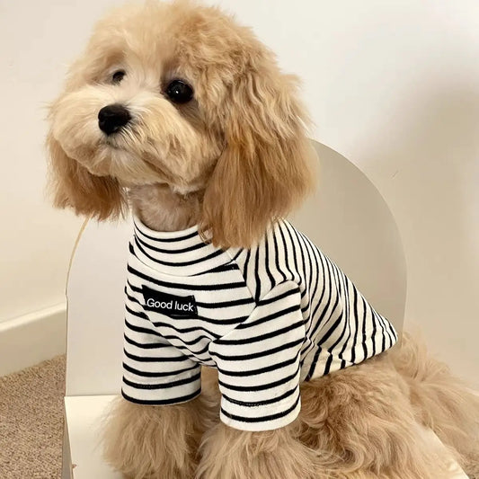 Dog Sweater – Striped Thermal Knit for Small Dogs