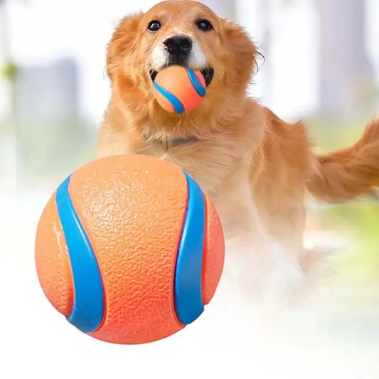 Dog Toy Ball Fetch Tough Pet Puppy Chew Solid Elastic Jumping Accessories Large Medium Small