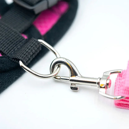 Dog Vest Walking Leash Puppy Cat Collar Polyester Adjustable Mesh Small Medium Pet Accessories