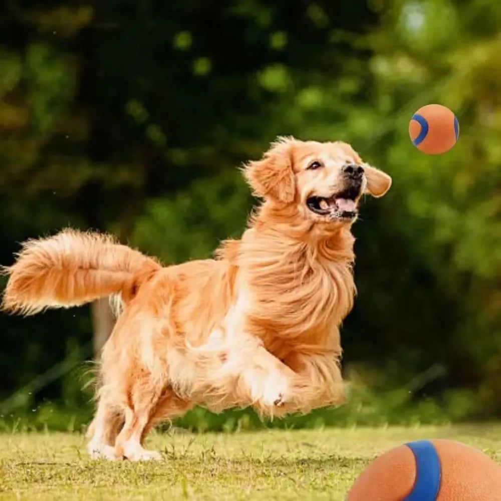 Dog Toy Ball Fetch Tough Pet Puppy Chew Solid Elastic Jumping Accessories Large Medium Small