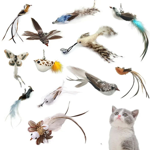 Funny Bird Feather Cat Wand Bell Accessories Interactive Toys Cats Kitten Hunting Teaser Exercise