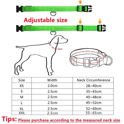 LED Dog Collar USB Rechargeable Glowing Safety Collar
