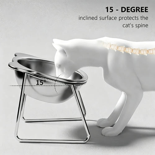 304 Stainless Steel Raised Cat Bowl 15 Elevated Design Tilted Neck Guard Healthy Feeding