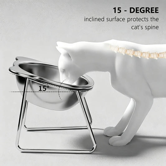 304 Stainless Steel Raised Cat Bowl 15 Elevated Design Tilted Neck Guard Healthy Feeding