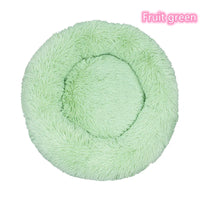 Fruit Green