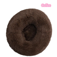 Coffee Brown