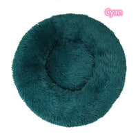 Cyan