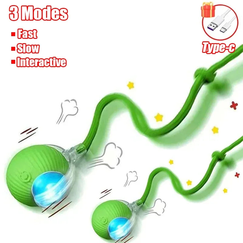 Interactive Rolling Ball Cat Toy with Tail – Rechargeable Smart Pet Toy